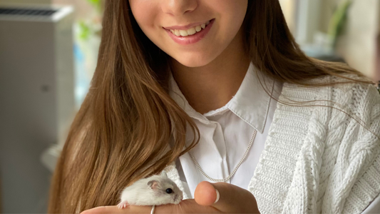 Getting The Basics Together For Your New Hamster