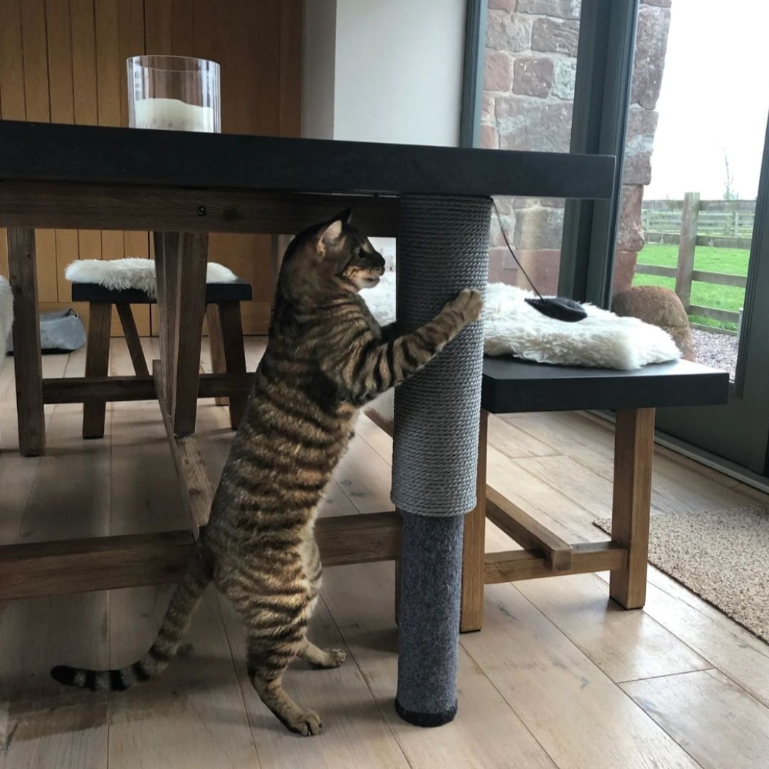 Adjustable Pole Scratcher