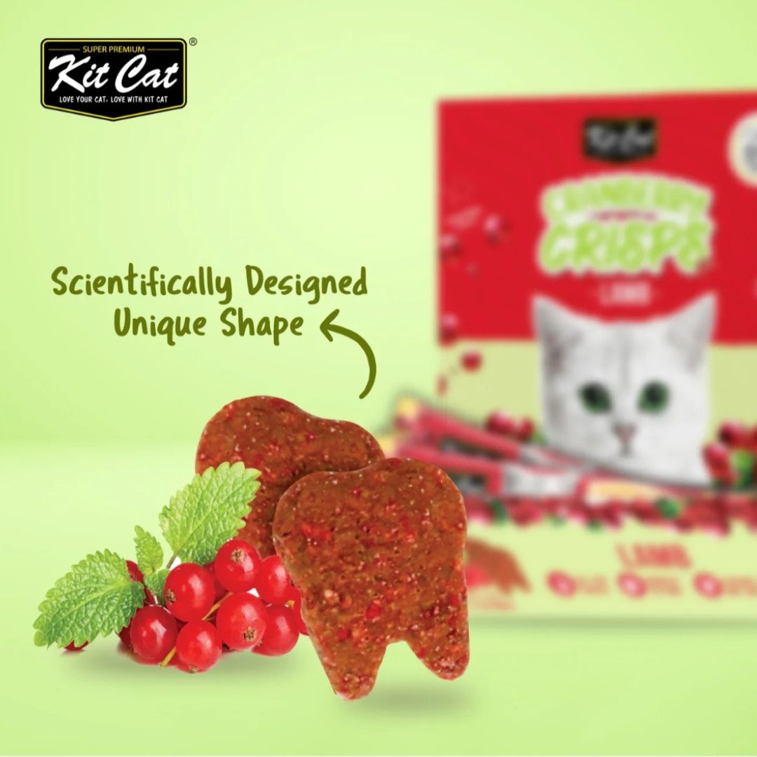 Kit Cat Cranberry Crisps (60g) BUY 4 GET 1 FREE!