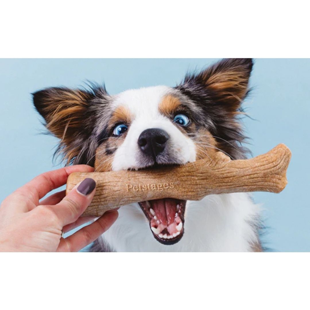 Dogwood Durable Stick