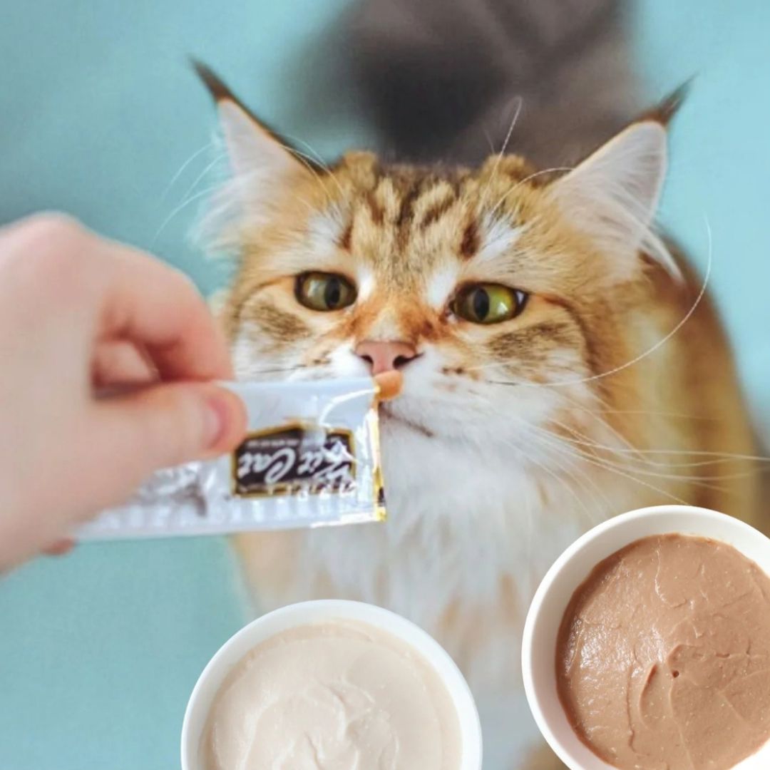 Purr Puree Plus+ Single Sachets (15g)