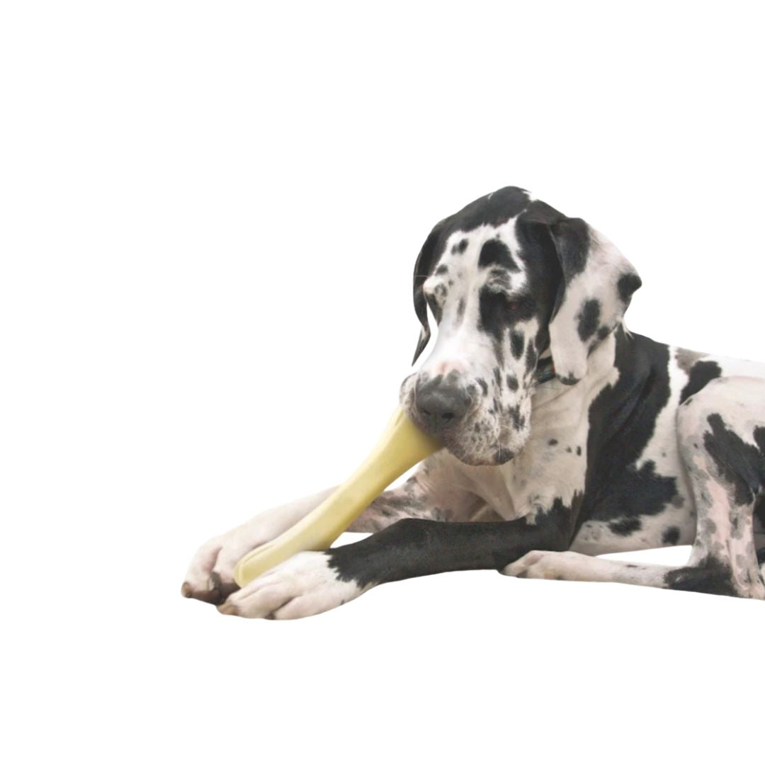 Chick-a-Bone