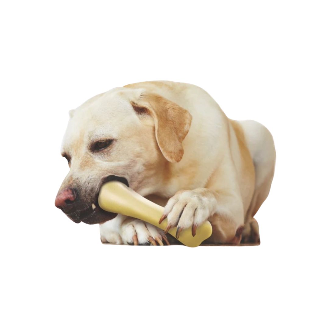 Chick-a-Bone