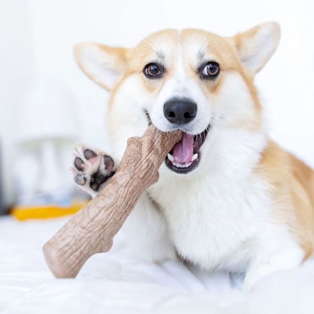 Dogwood Durable Stick
