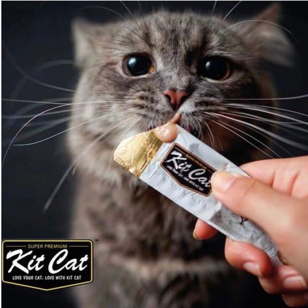 Kit Cat Purr Puree Plus+ Bulk Deal (15g x 32 sachets)