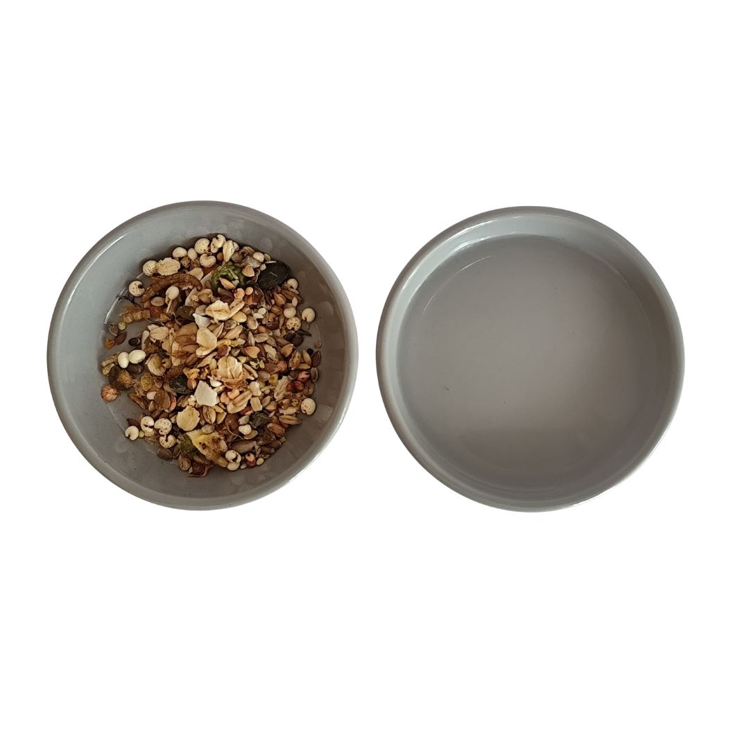 Small Animal Food & Water Bowls - Muted Sky