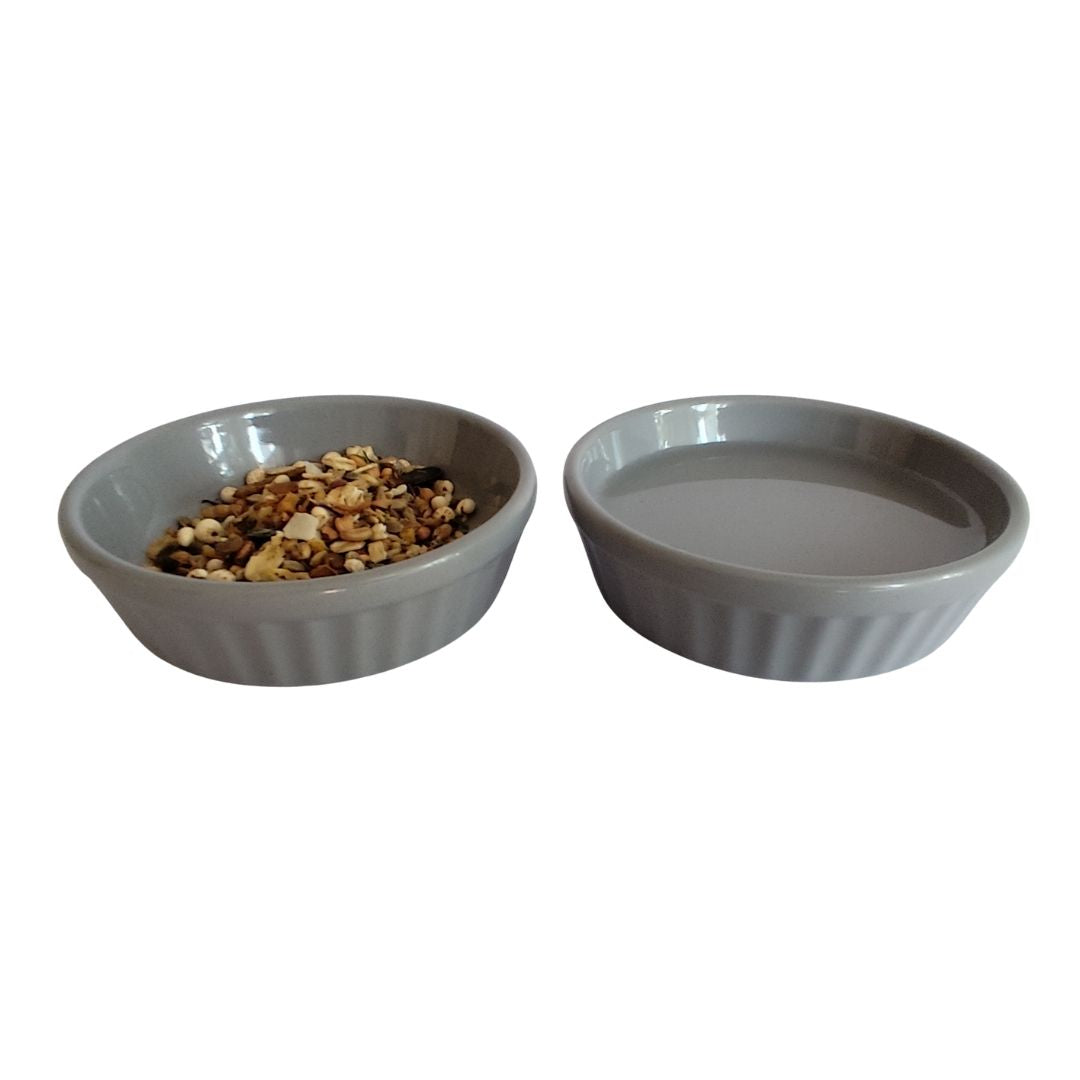 Small Animal Food & Water Bowls - Muted Sky