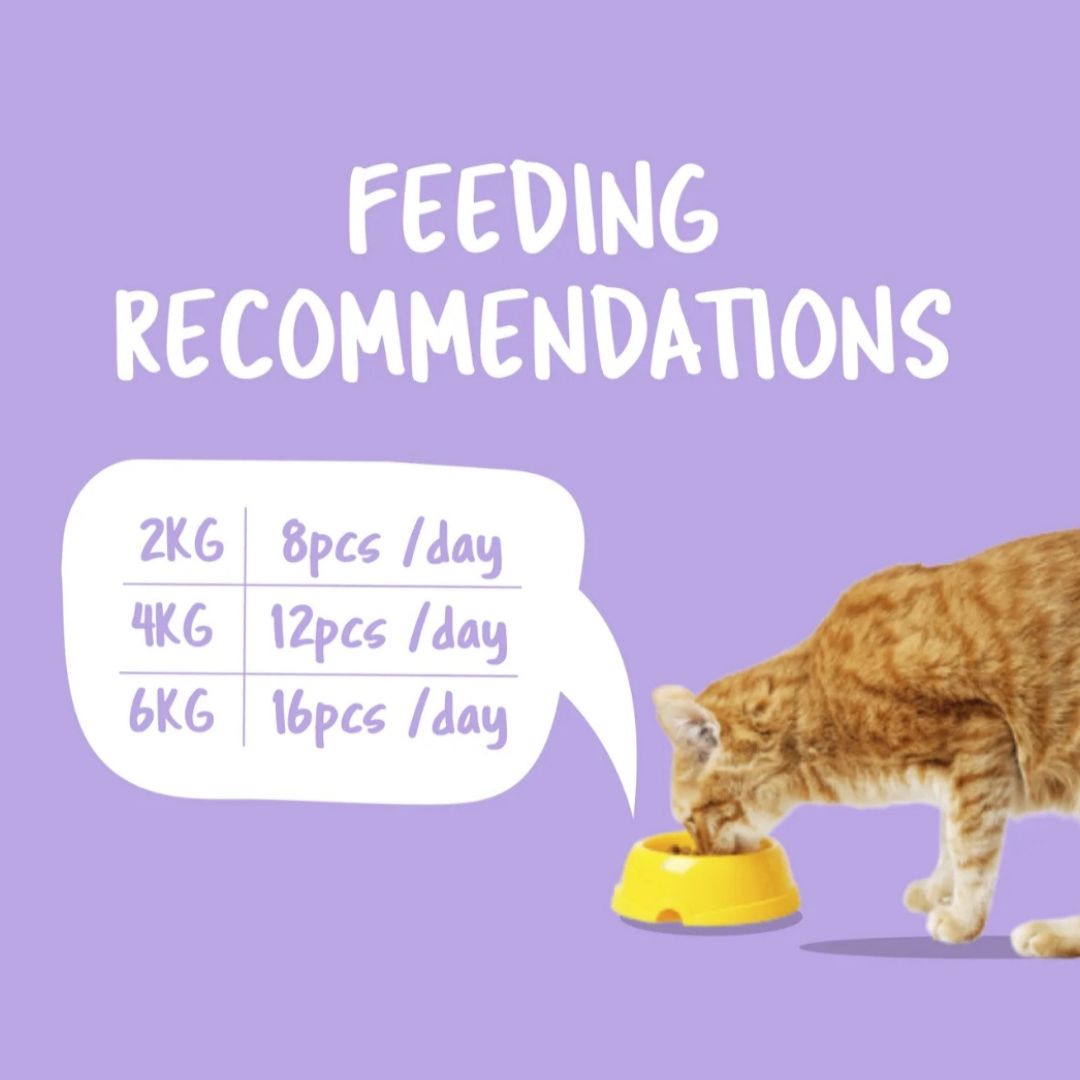 Kit Cat Purrfect Pockets 60g BUY 4 GET 1 FREE