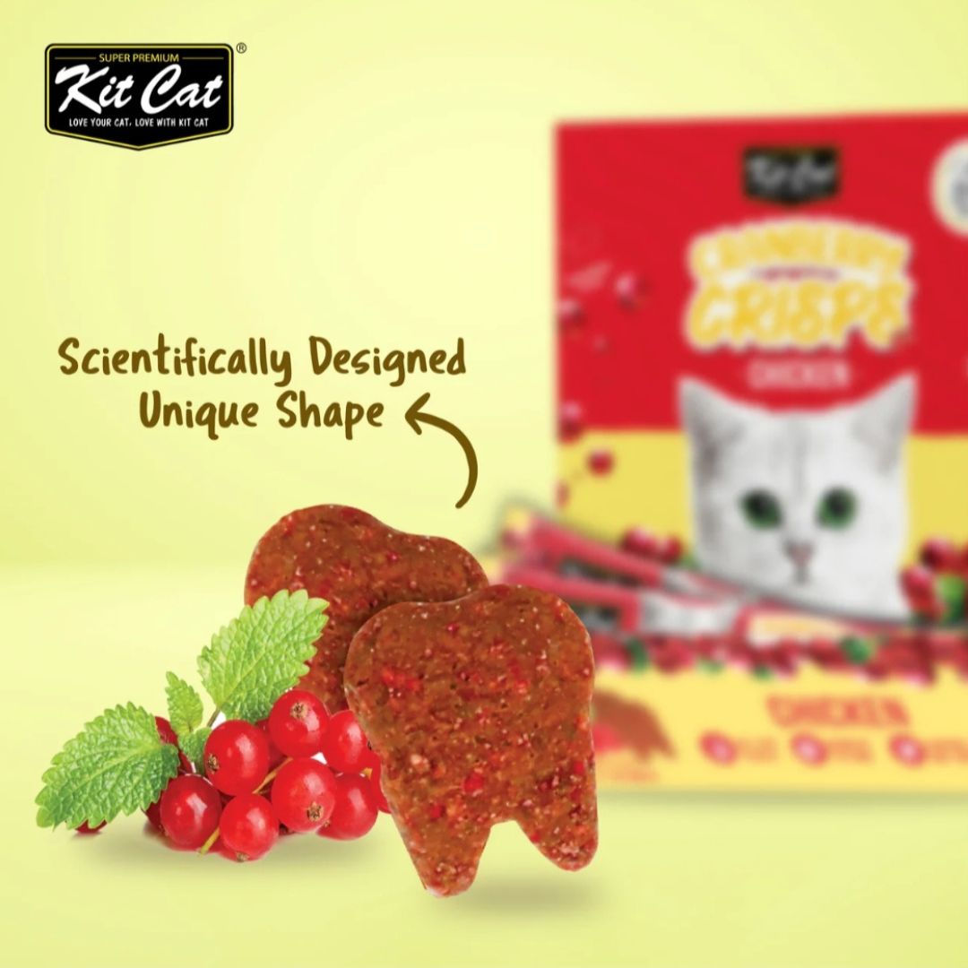 Kit Cat Cranberry Crisps (60g) BUY 4 GET 1 FREE!