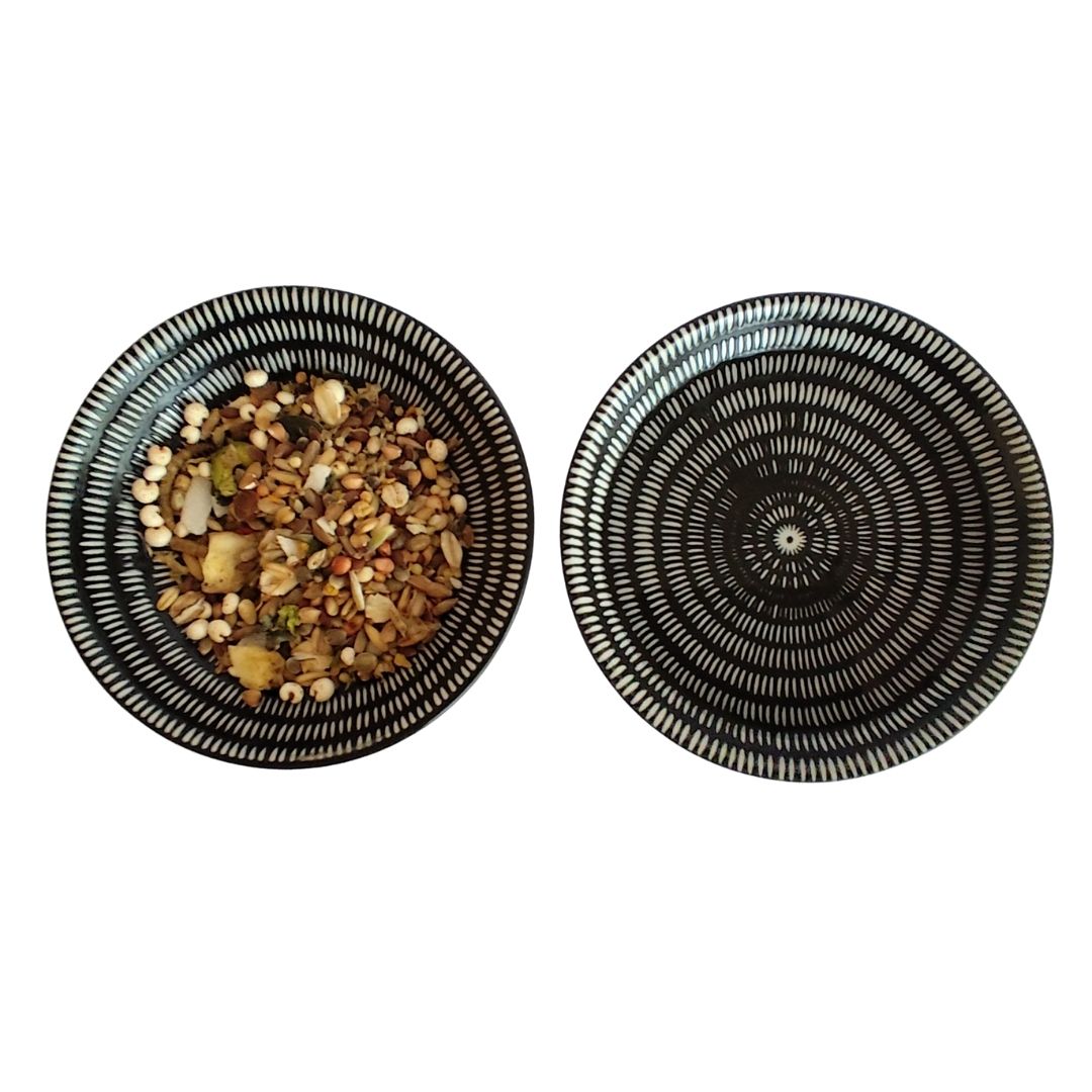 Small Animal Food & Water Bowls - Trendy Black