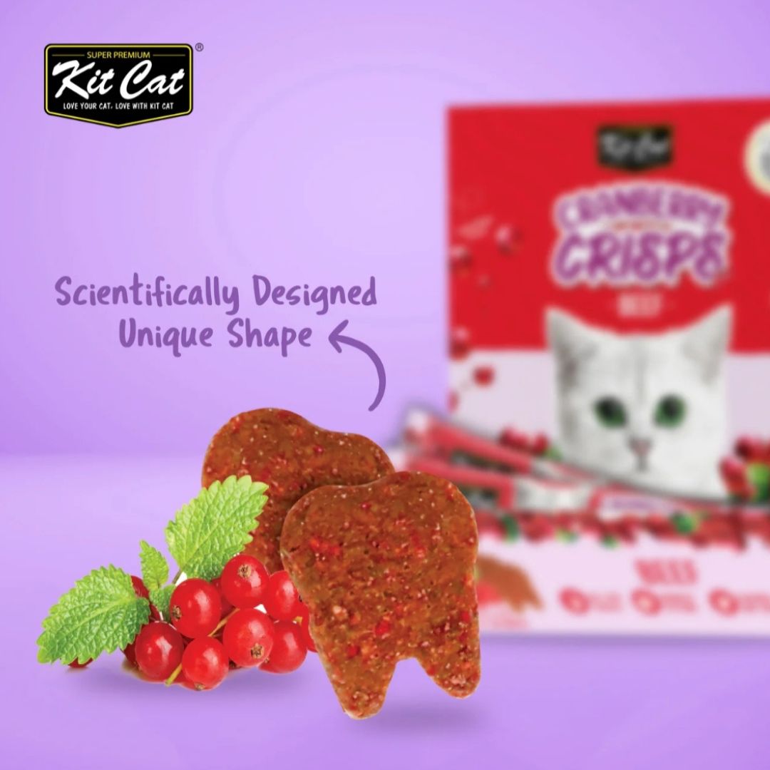 Kit Cat Cranberry Crisps (60g) BUY 4 GET 1 FREE!
