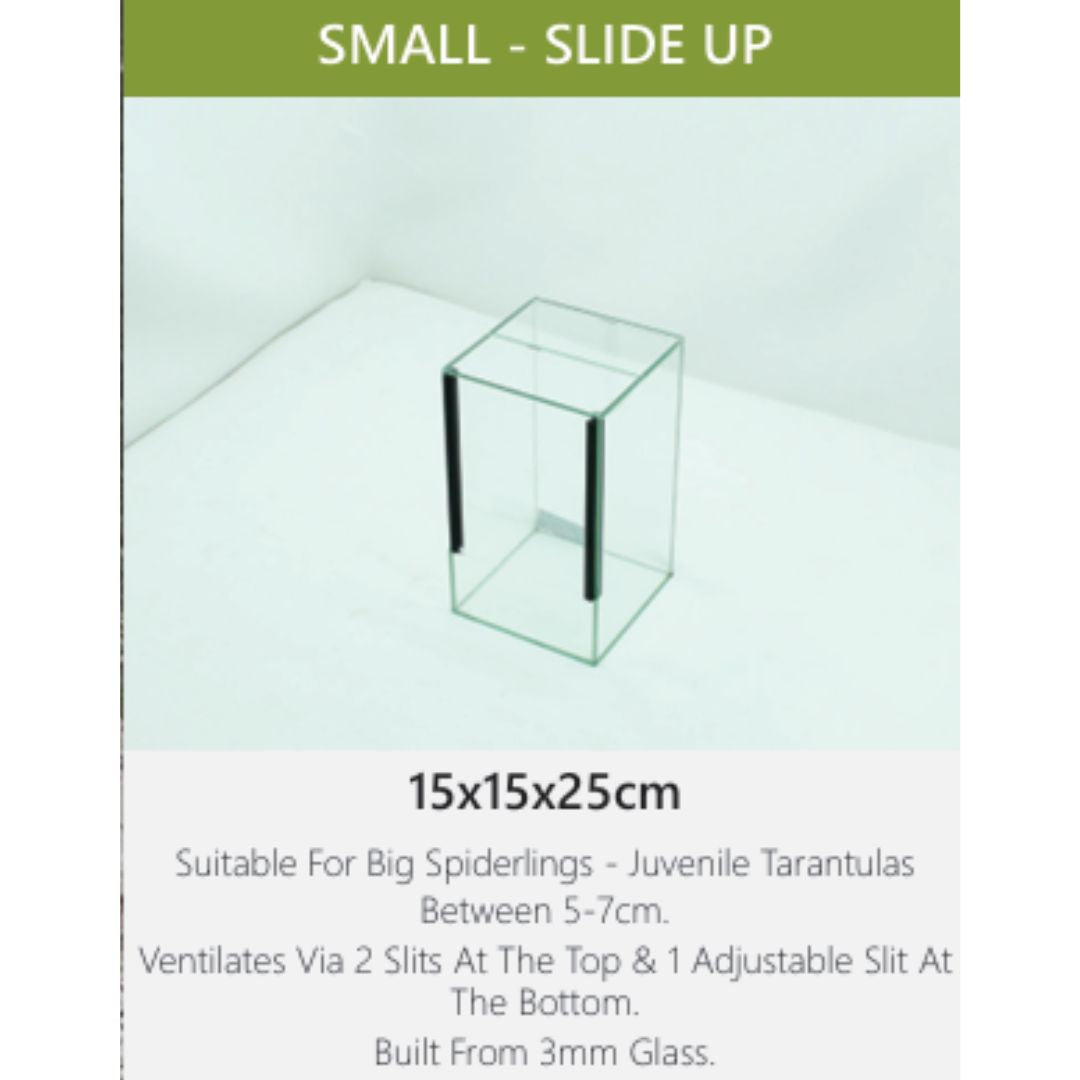 Small Slide-Up Glass Terranium