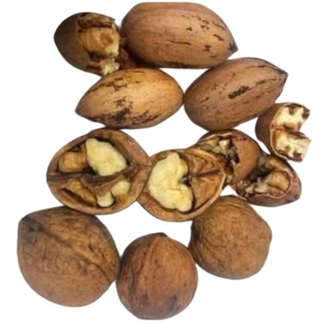 Walnut & Pecan Nut In Shell Mix - Six Pack