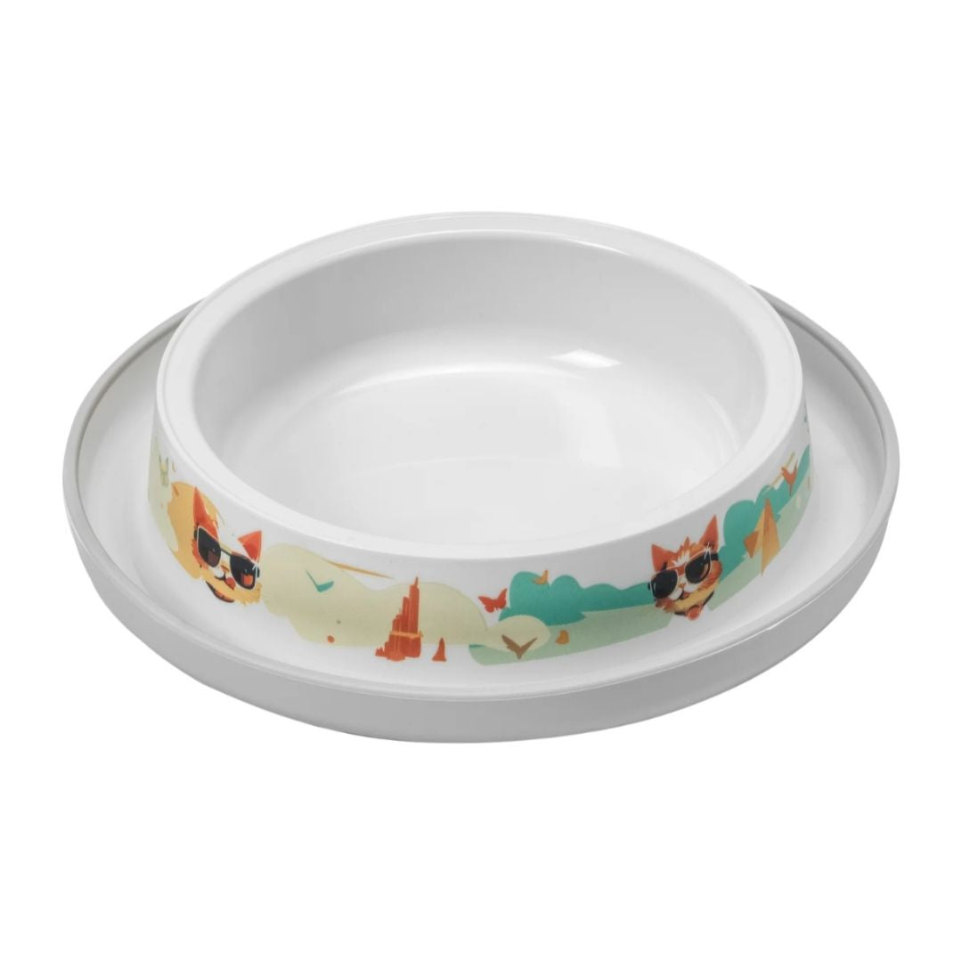 Trendy Dinner Bowl Range