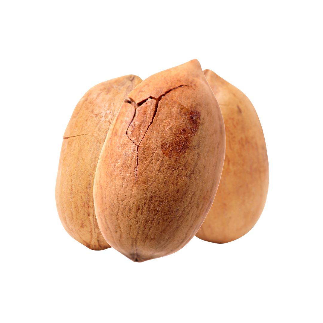 Three Pack Pecan Nuts In Shell