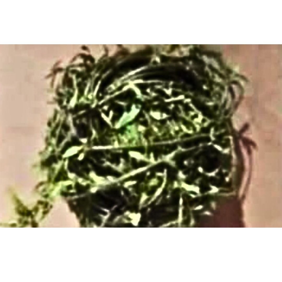 Willow Ball