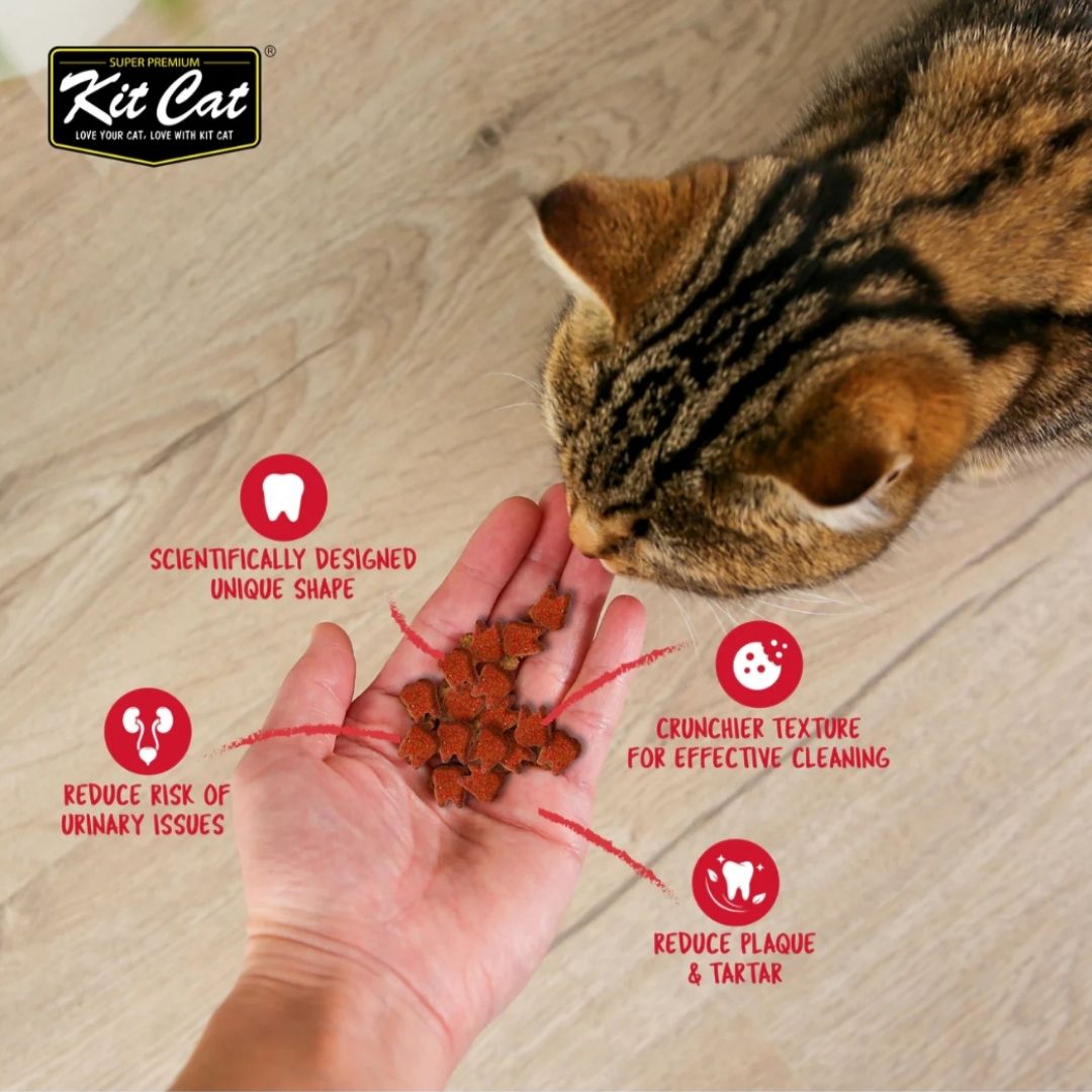 Kit Cat Cranberry Crisps (60g) BUY 4 GET 1 FREE!