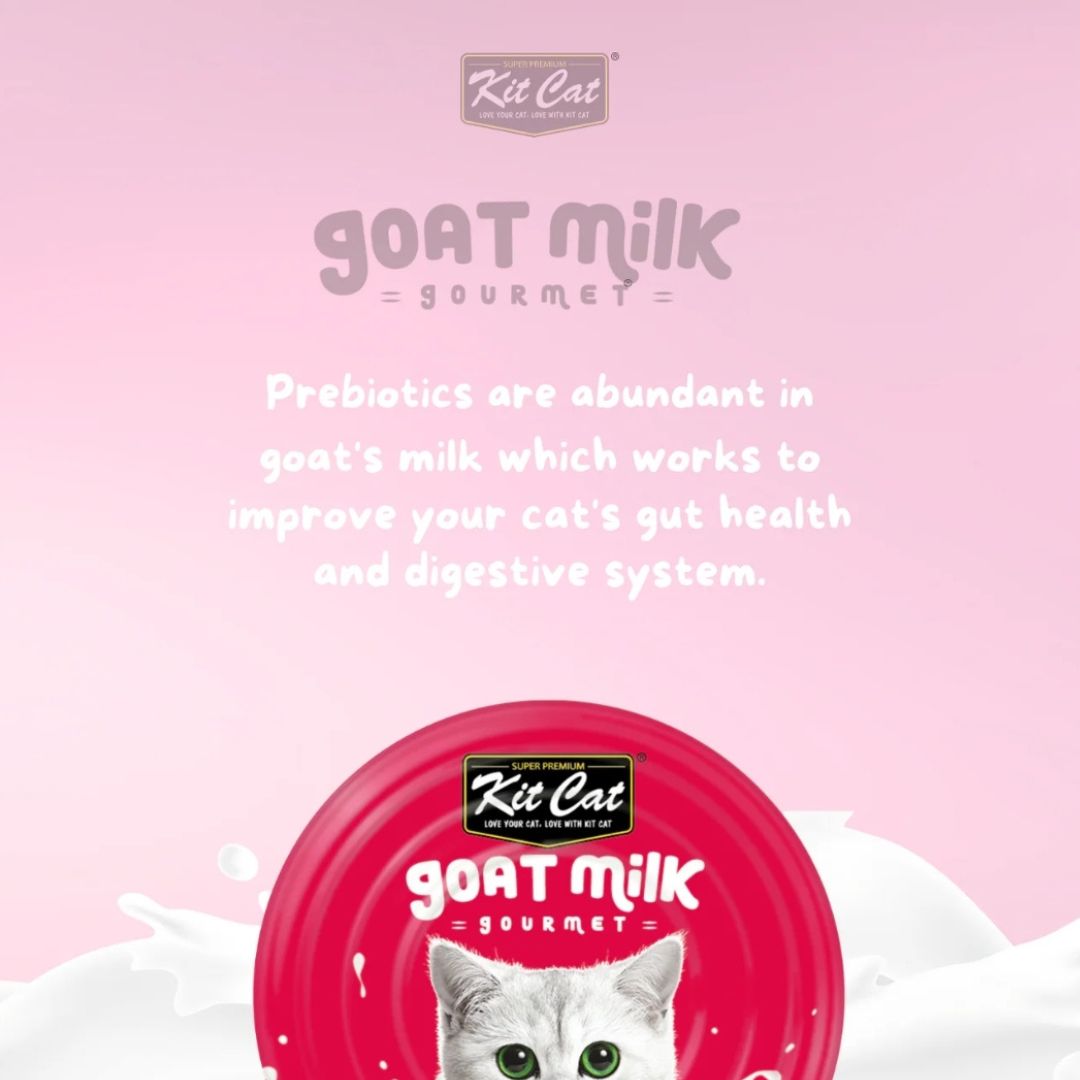 Kit Cat Goat's Milk Gourmet (70g) BUY 5 AND SAVE!