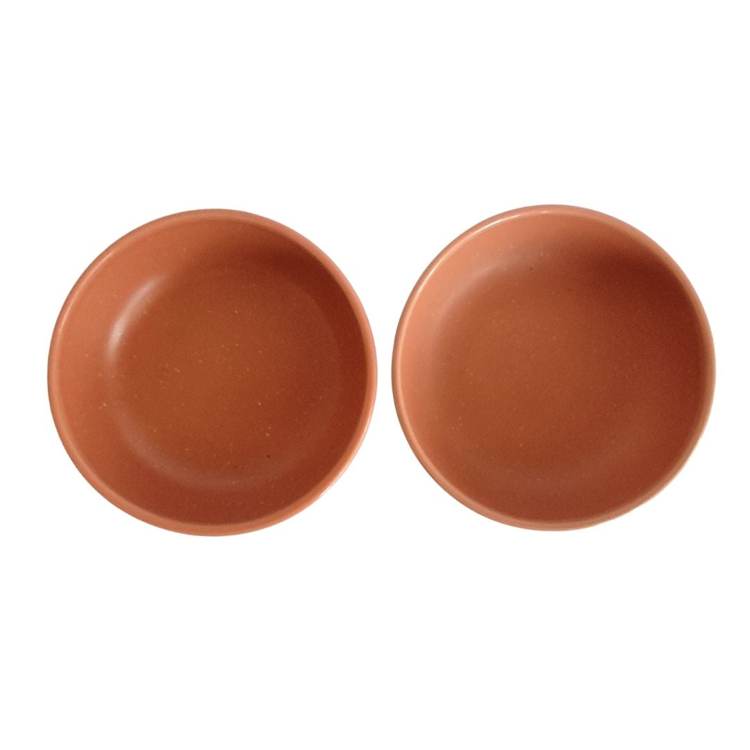 Small Animal Food & Water Bowls - Terracotta Earth