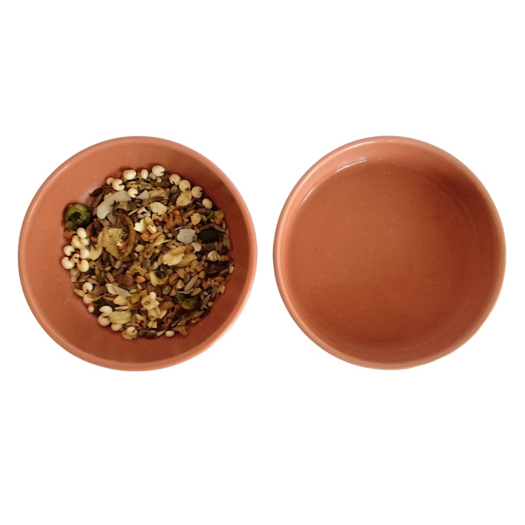 Small Animal Food & Water Bowls - Terracotta Earth