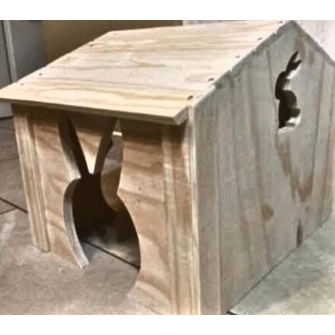 The Real Bunny House