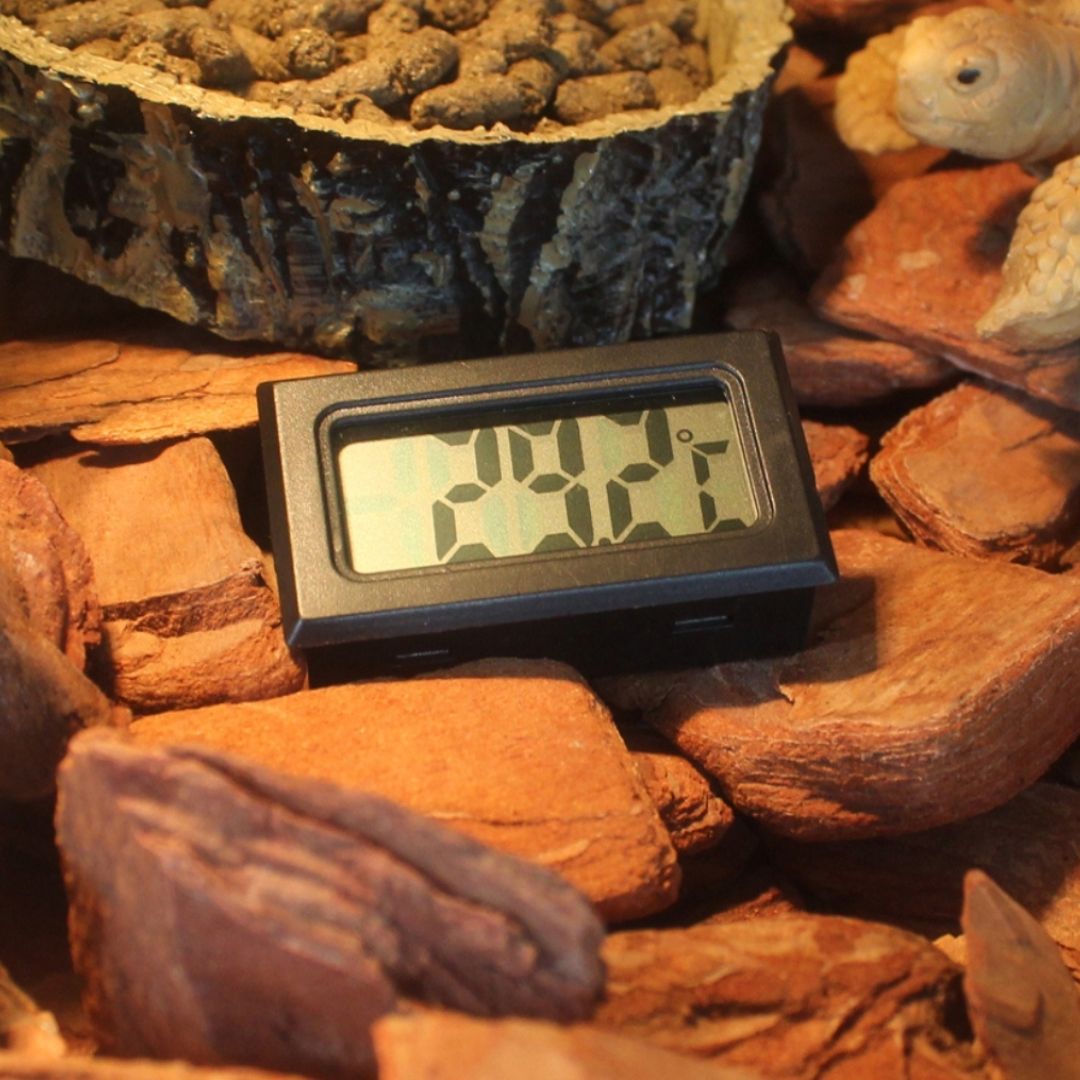 Wireless Digital Thermometer