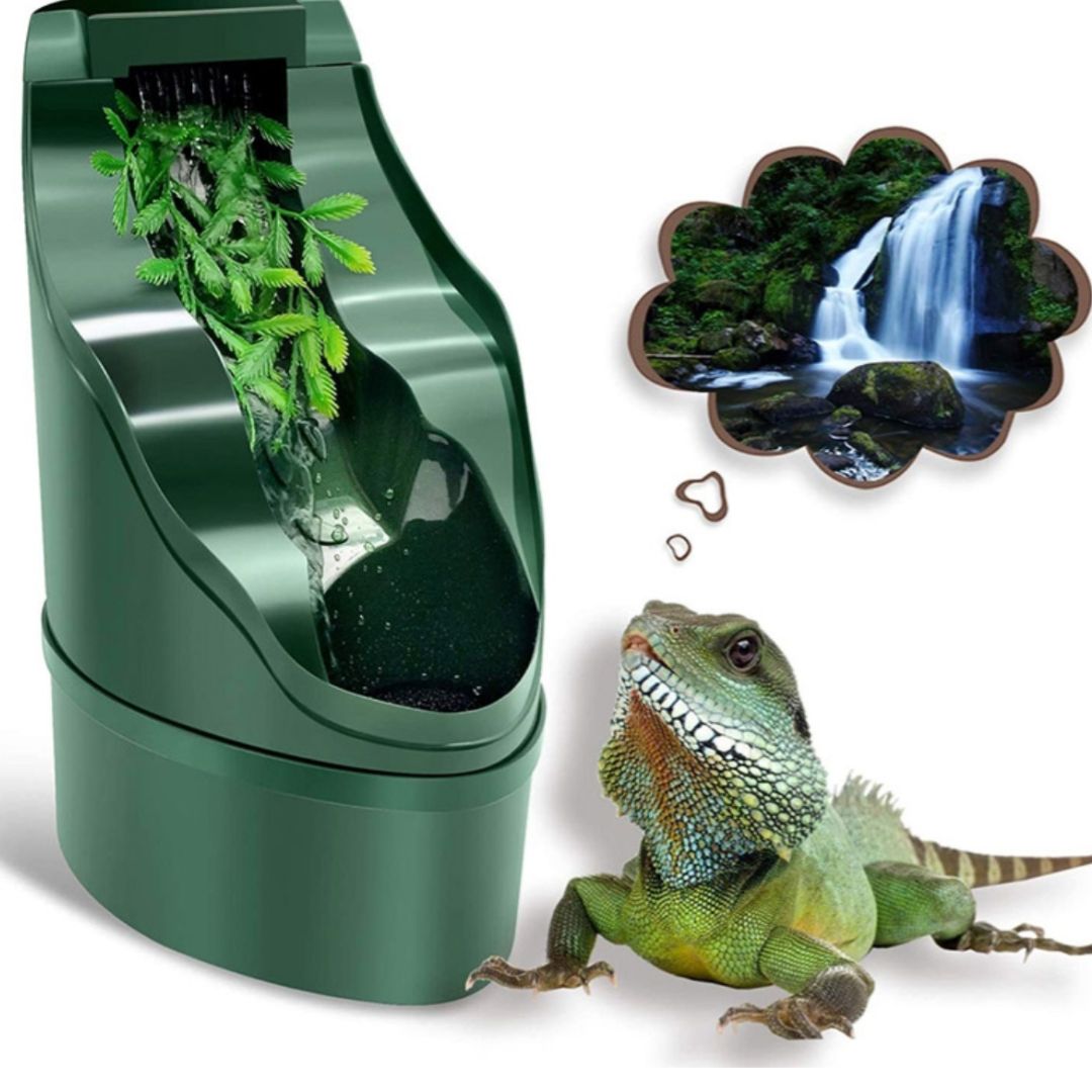 Running Water Feeder