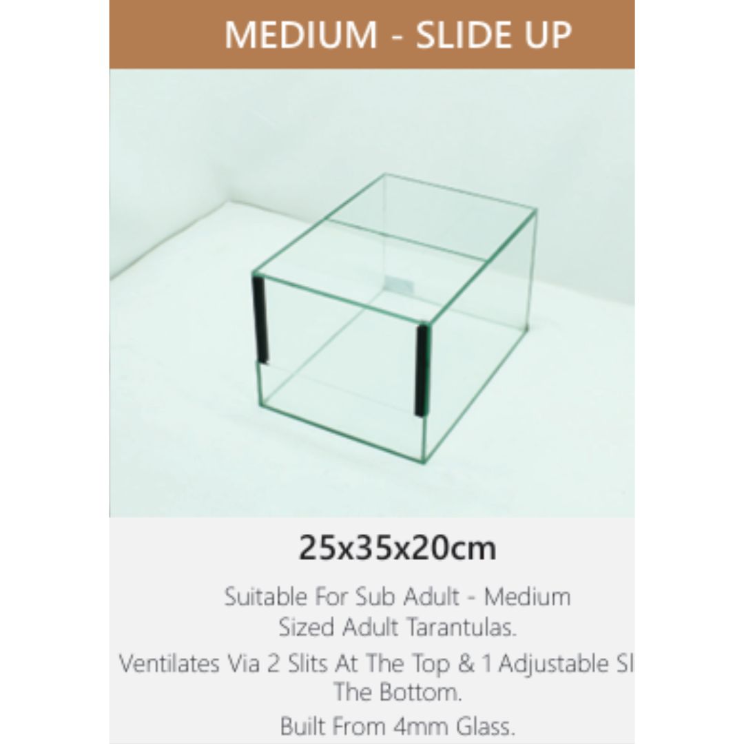 Medium Slide-Up Glass Terranium