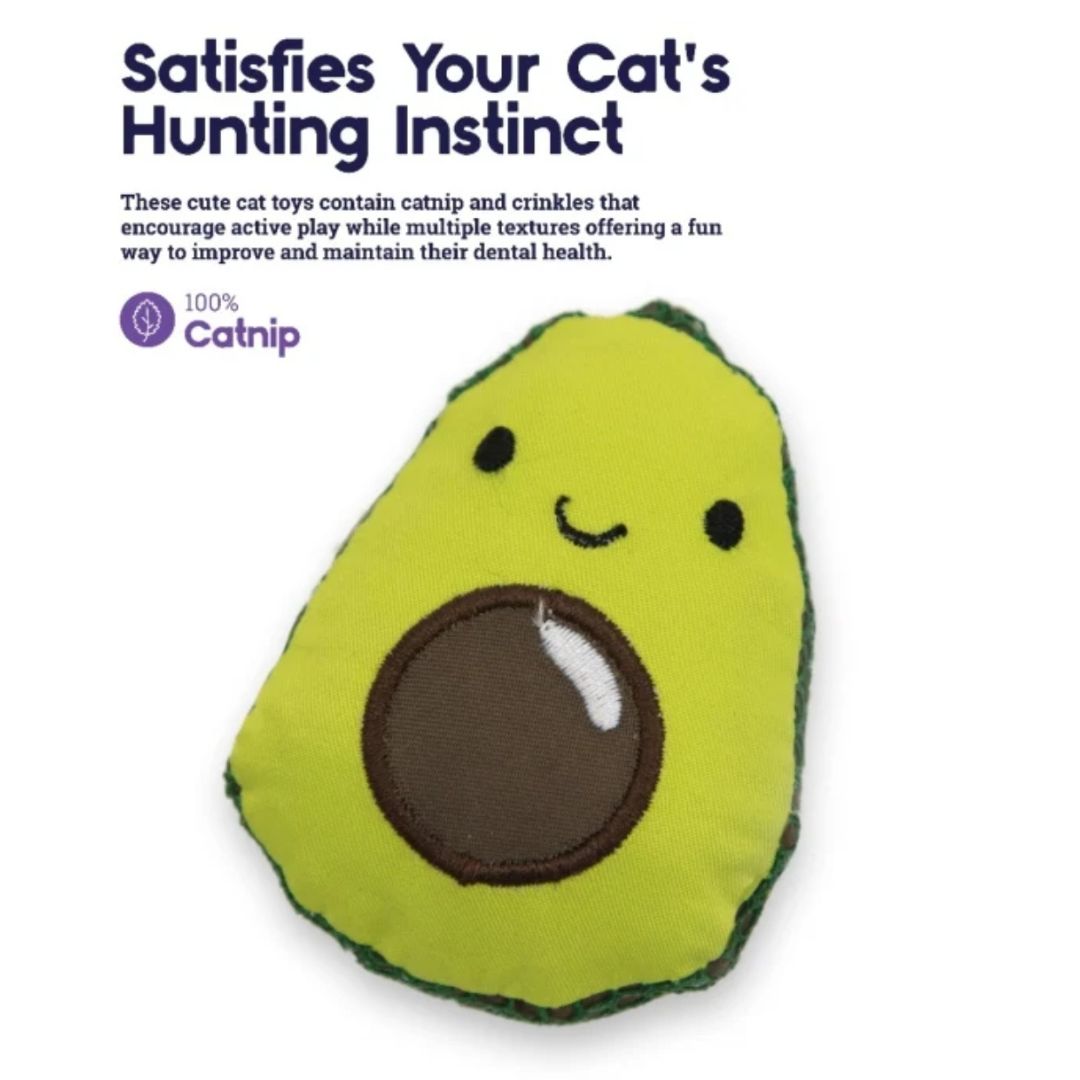 Dental Avo