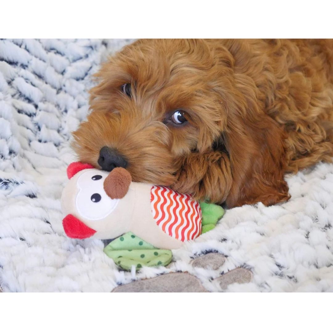 Little Nippers Wise Owl