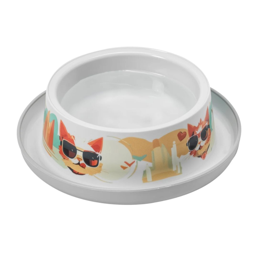 Trendy Dinner Bowl Range