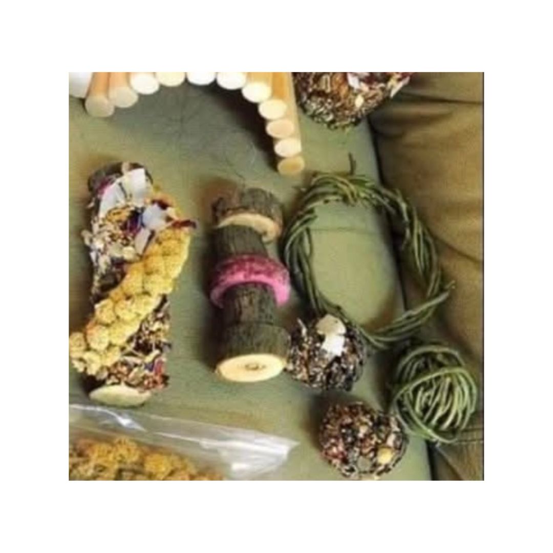 Treat Log For Hamsters & Rats