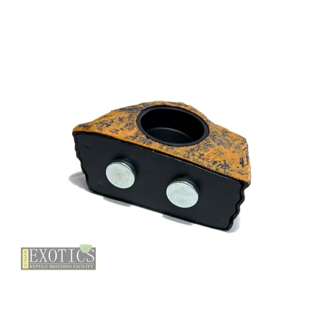 Ciliatus Food Bowl Single