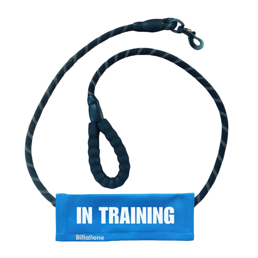 Billabone Lead Cover - "In Training" NEW!