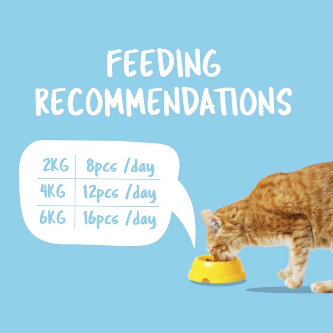 Kit Cat Purrfect Pockets 60g BUY 4 GET 1 FREE