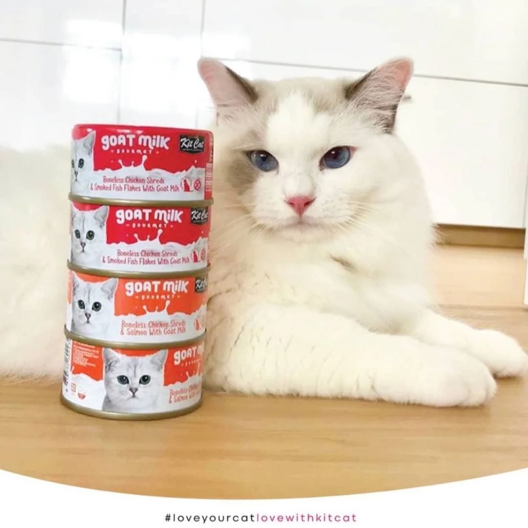 Kit Cat Goat's Milk Gourmet (70g) BUY 5 AND SAVE!