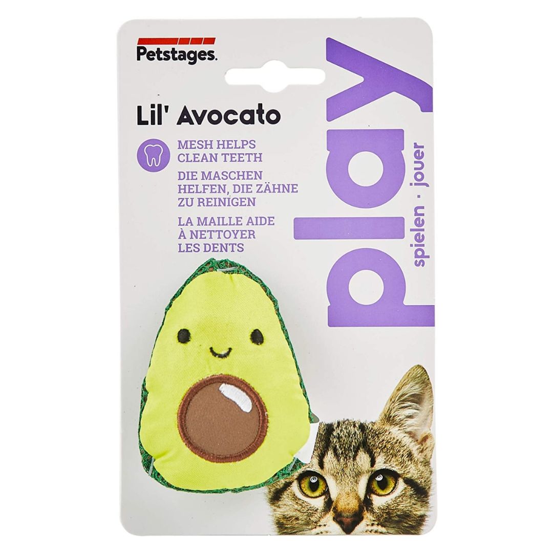 Dental Avo