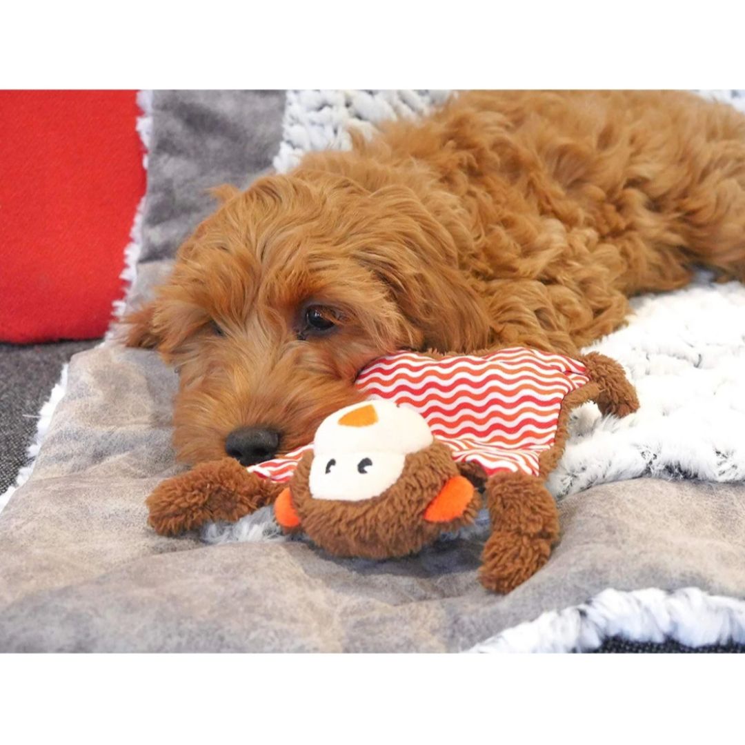 Little Nippers Cheeky Chimp