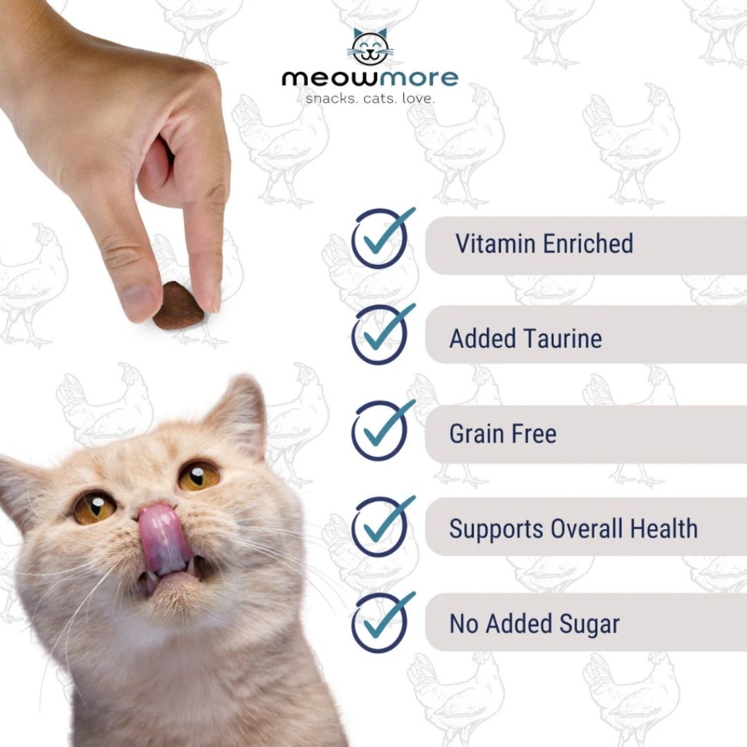 MeowMore Meaty Snacks BUY 3 GET 1 FREE