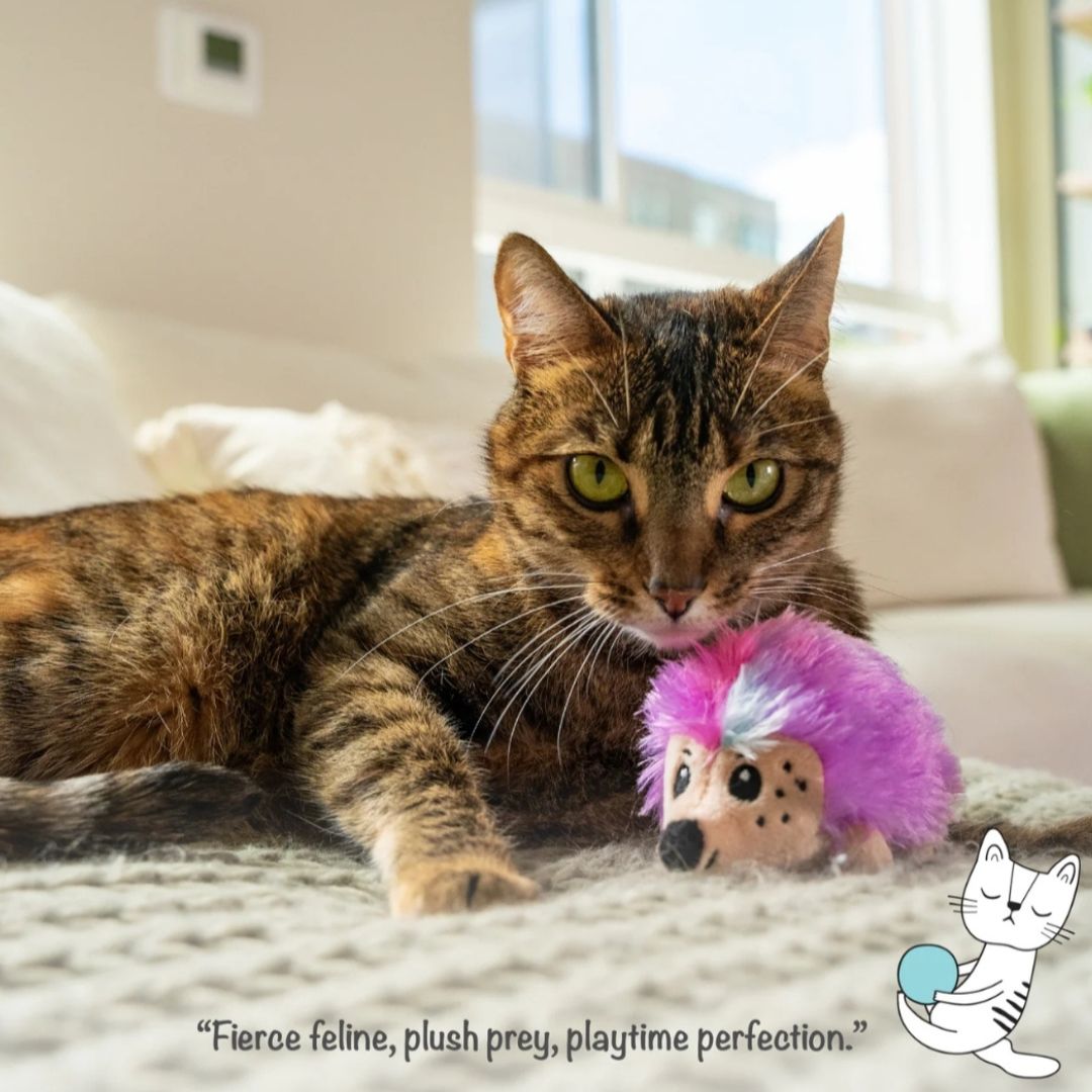 Catnip Plushies Hedgehog