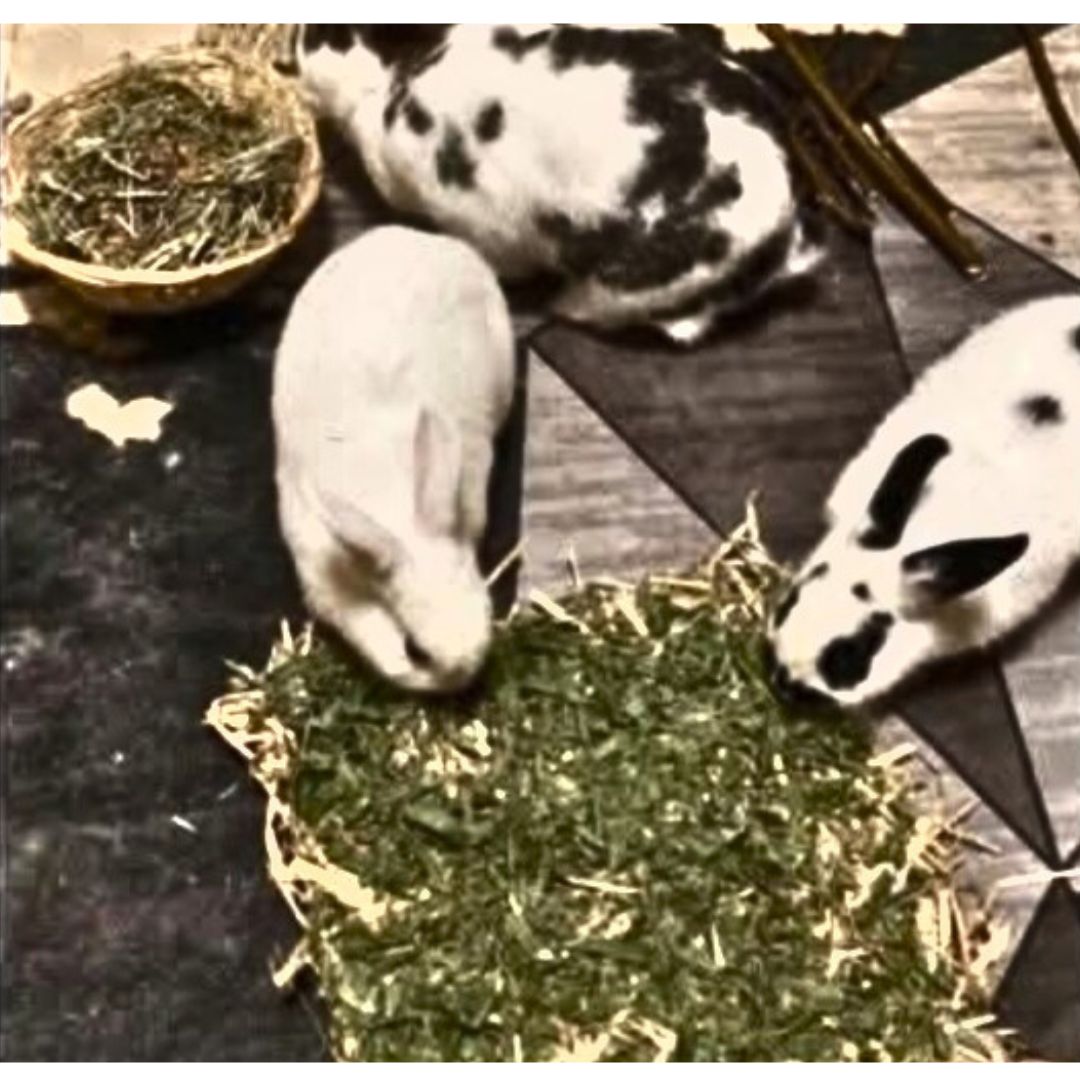 Willow-Topped Hay Mat