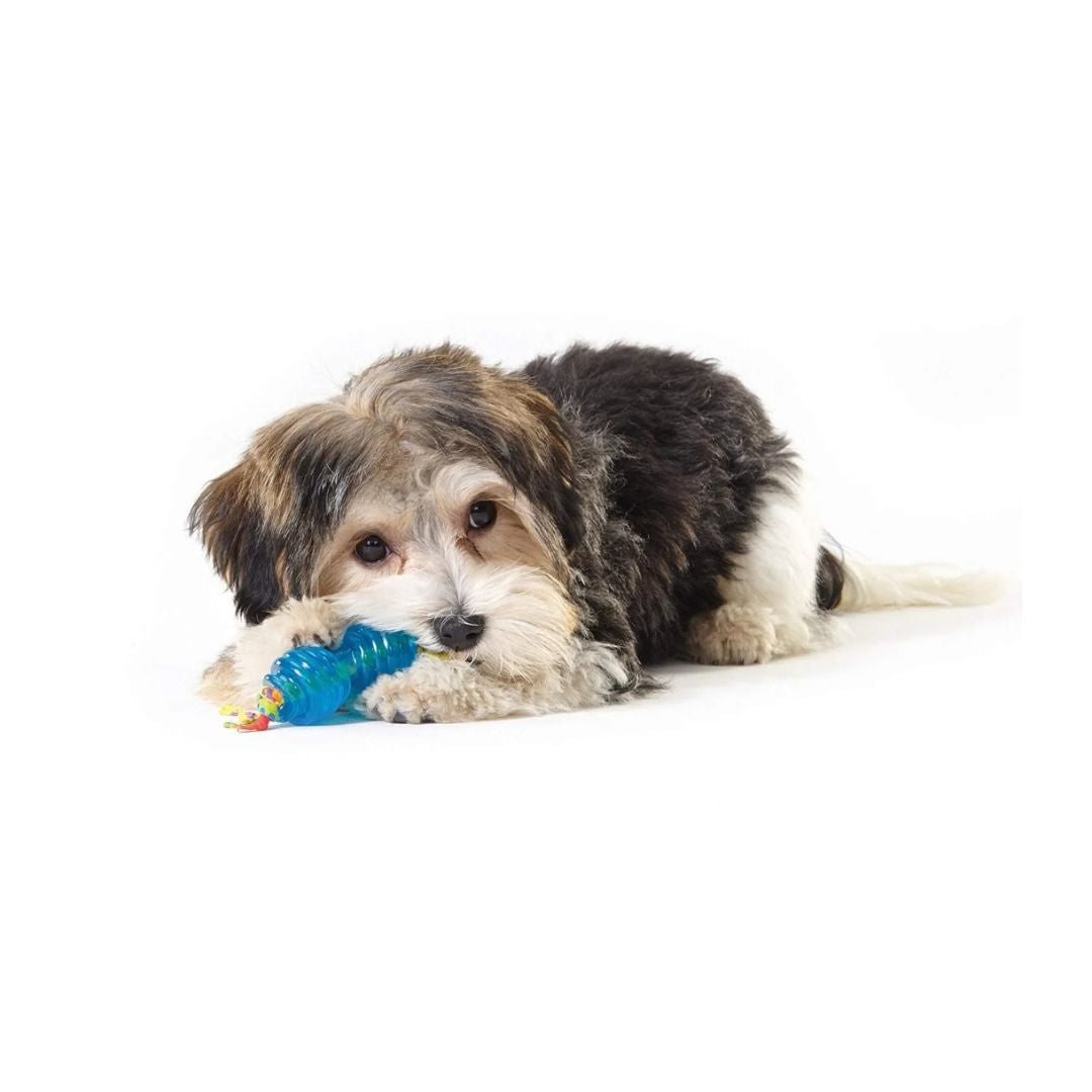 Orka Chew Pair Petite