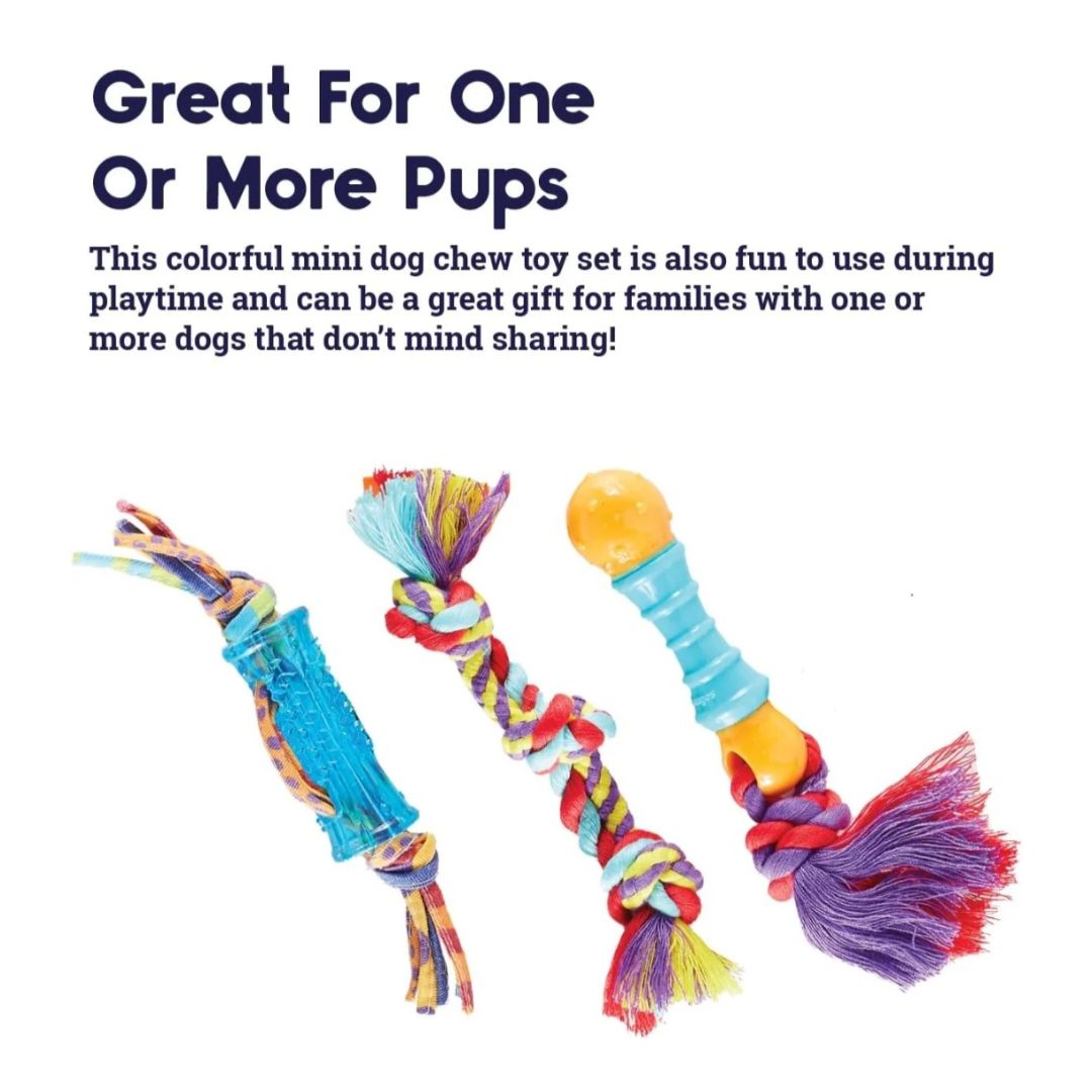 Mini Dental Chew Pack