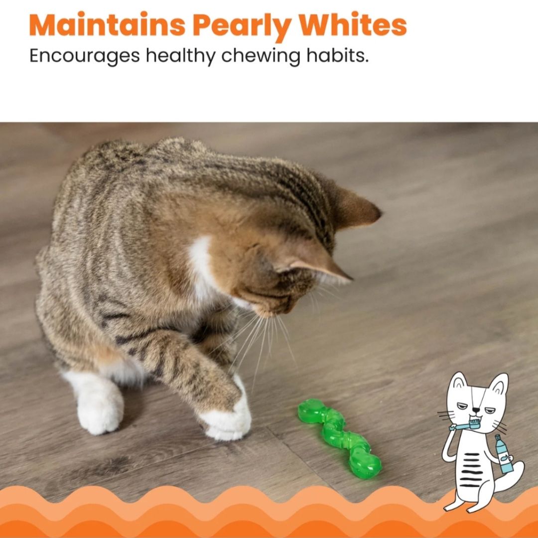 Orka Cat Wiggle Worm