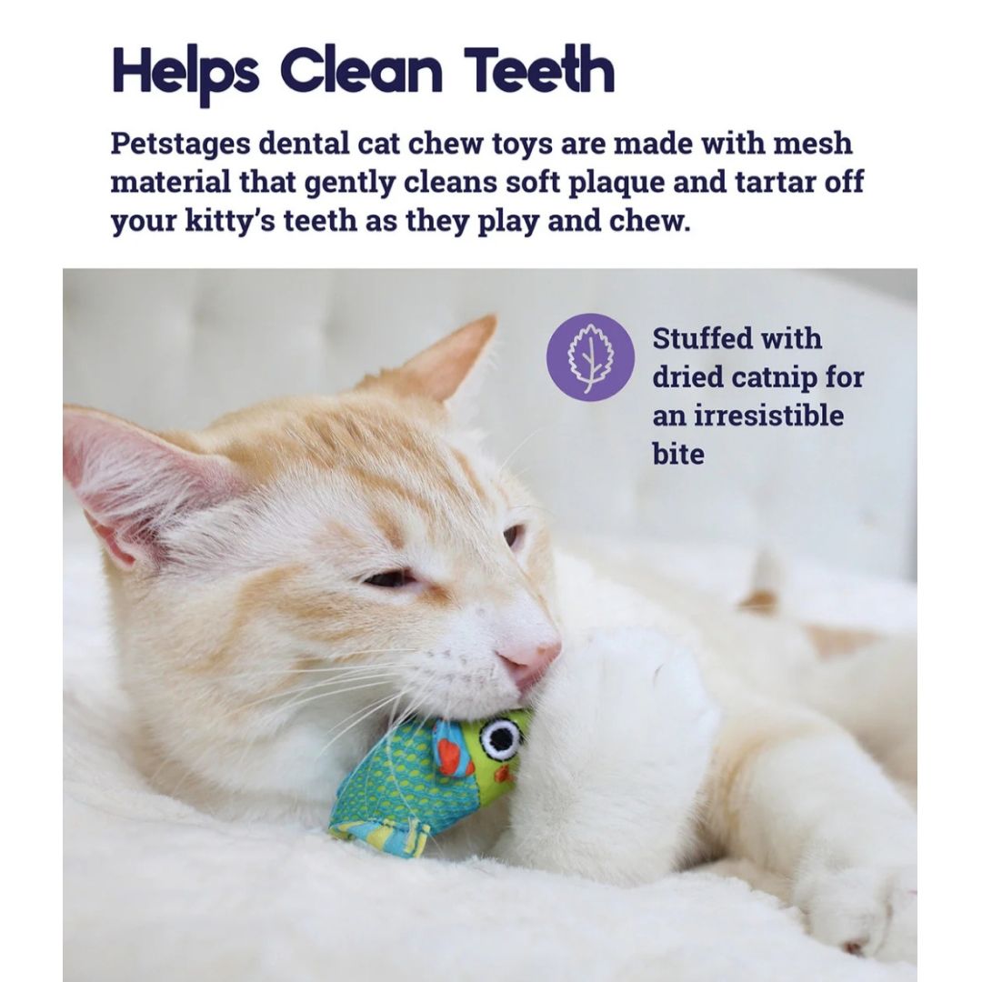 Catnip Chew Mice