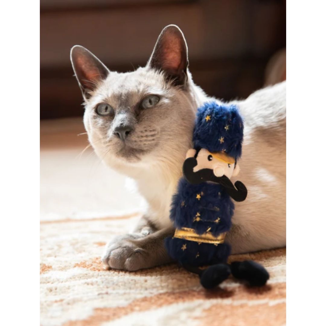 Ned Nutcracker