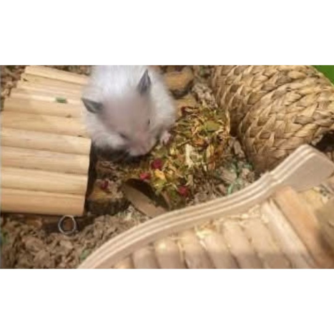 Veggie Treat Tunnel