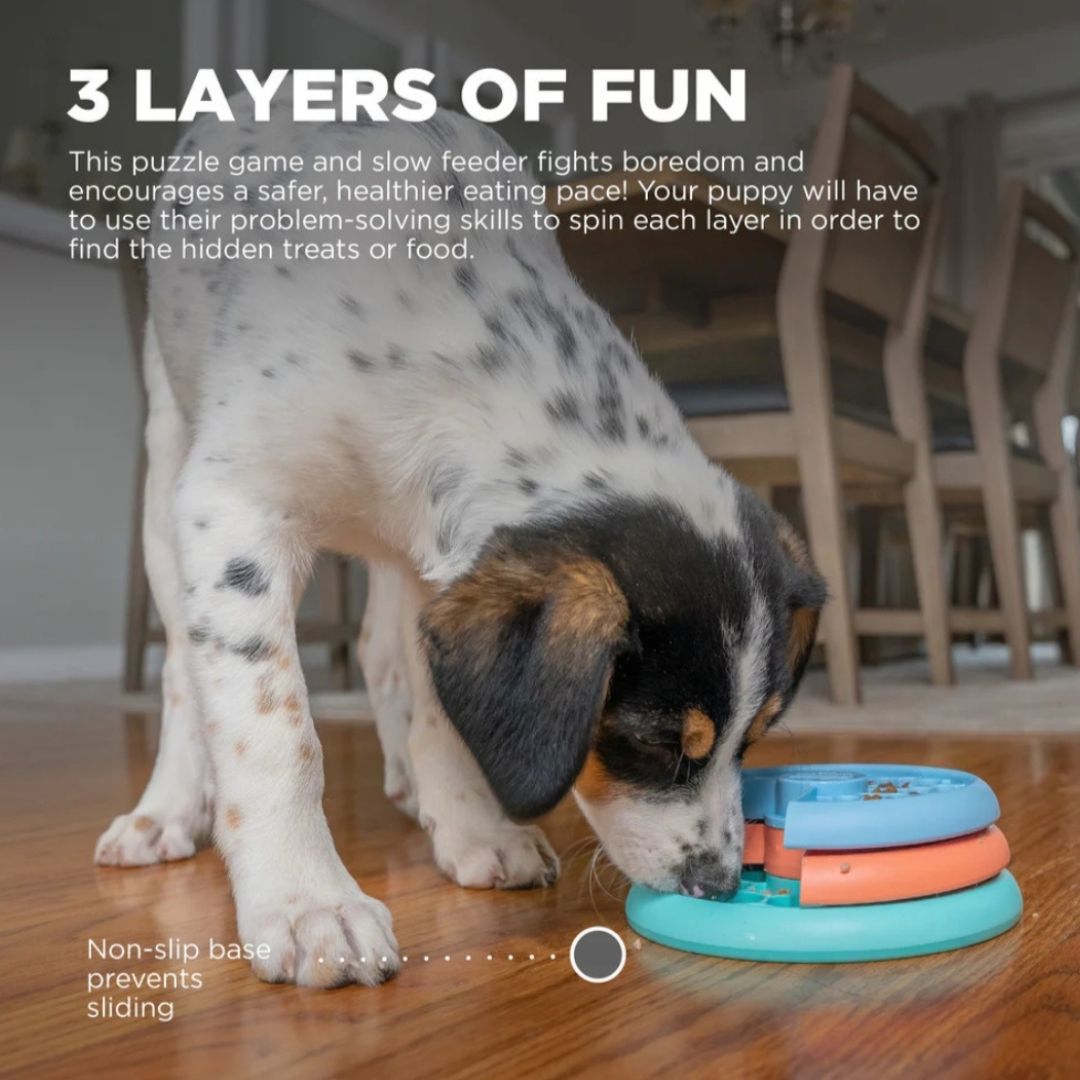 Nina Ottosson Puppy Lickin' Layers
