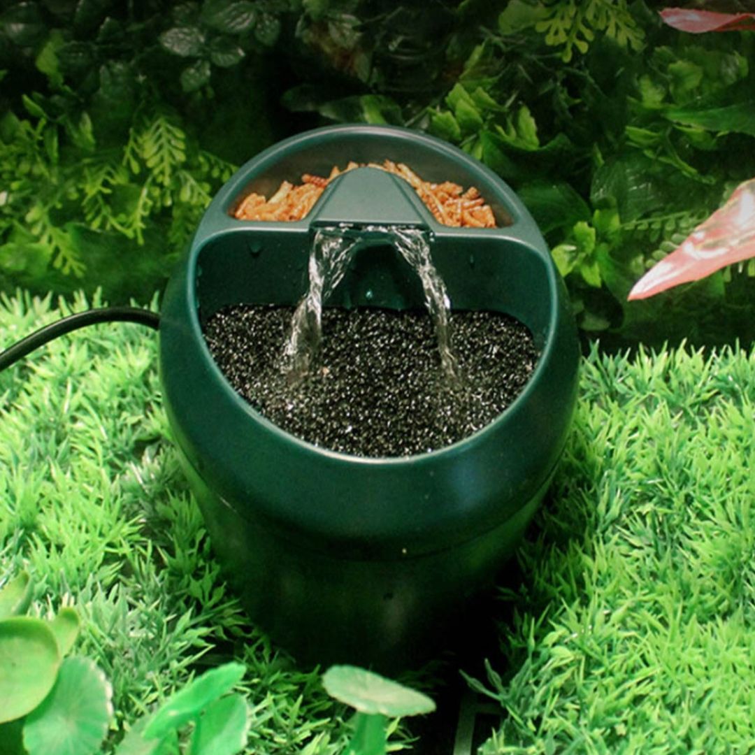 Second Generation Lizard Water Fountain