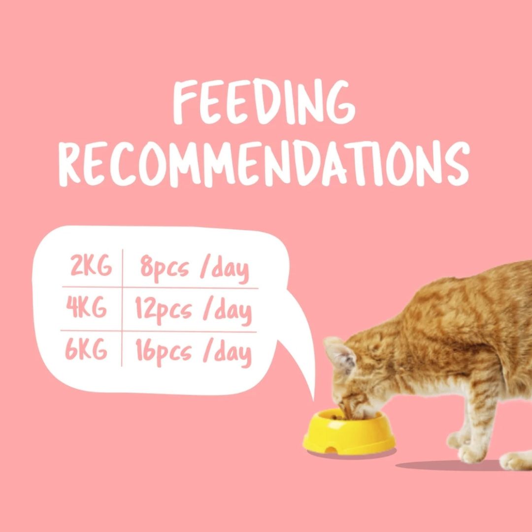 Kit Cat Purrfect Pockets 60g BUY 4 GET 1 FREE